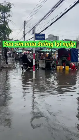 Sau cơn mưa #mualu #batracoffee #chotanhung #caphemaylanh #3tracoffee 