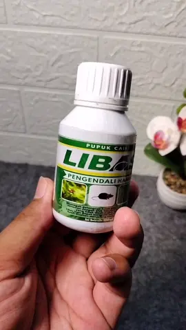 Pembasmi hama tanaman #libashama #pupukhama #pupuk #racuntiktok 