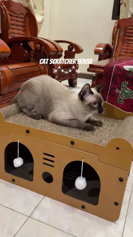 enjoy na enjoy ang bebe namin sa new scratcher house nya 🐾💗 #catscratcher #cathouse #fyp 