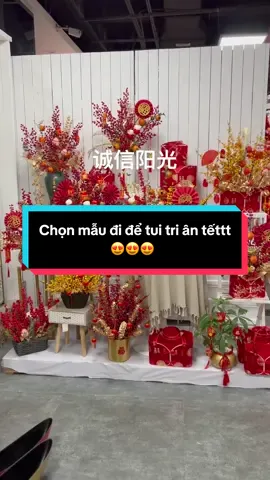 Chọn mẫu đi để tui tri ân tếttt #tongkhomia #phukientetmia #trangtritet #thịnhhành #xuhuong 