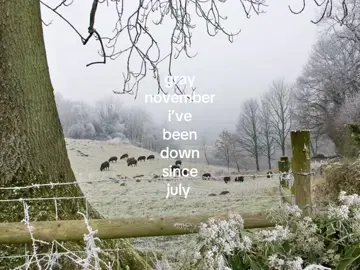 gray November ⛄️ #taylorswift #xybca #TSTheLifeofaShowgirl #evermoretaylorswift #evermore 