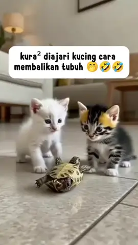 lagi ngasih tips dia sama c kura