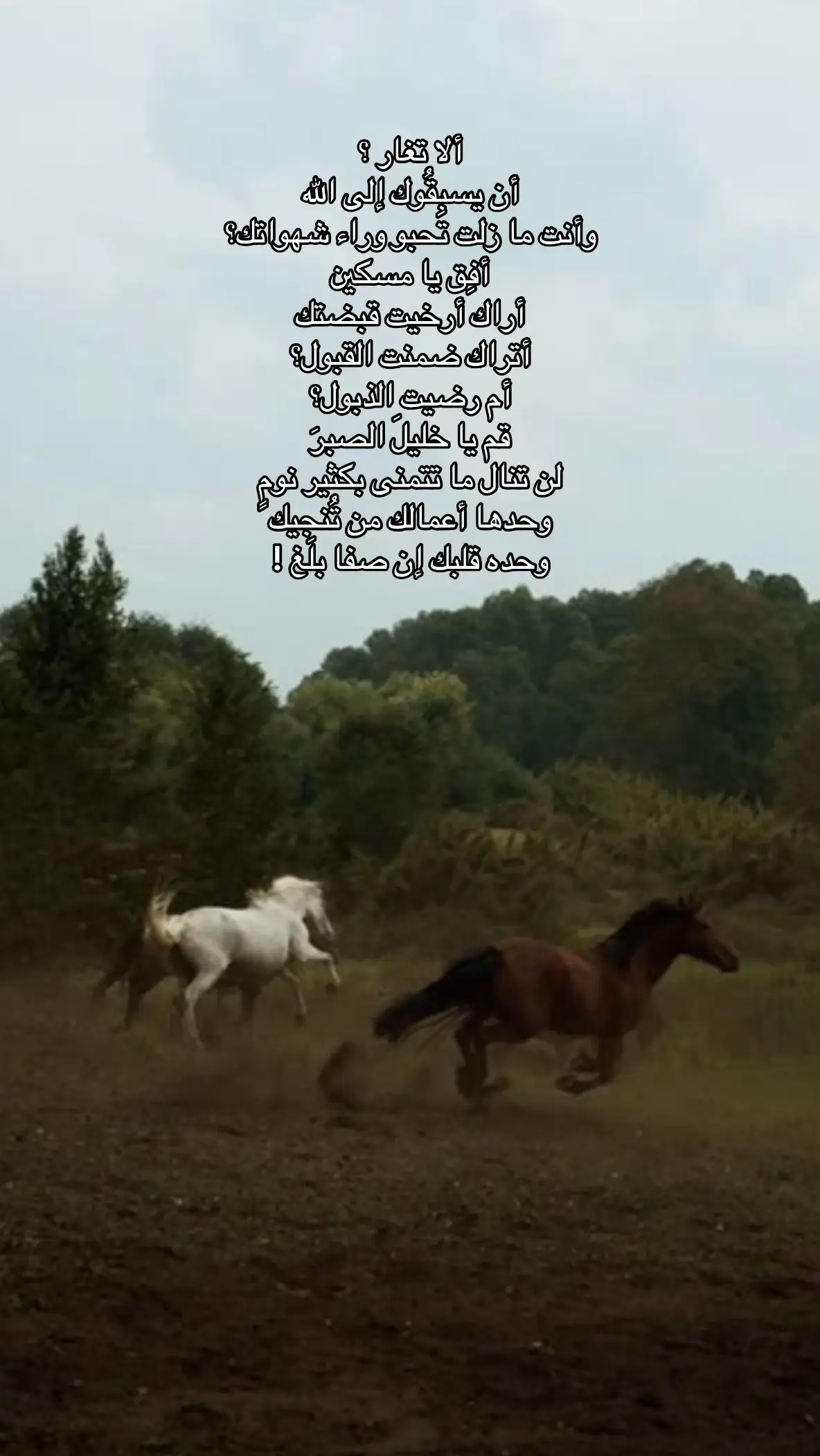 #استغفرالله #سبحان_الله #اذكروا_الله 