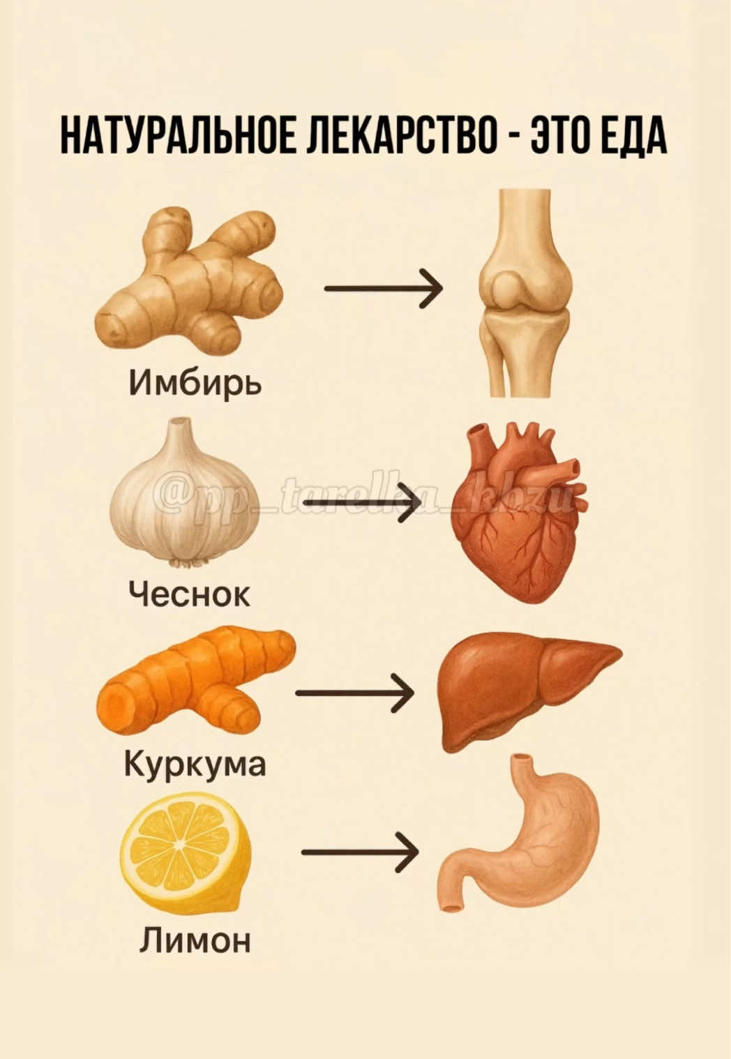 🥦 НАТУРАЛЬНОЕ ЛЕКАРСТВО — ЭТО ЕДА ✅ Ты удивишься, но многие продукты действительно работают как лекарства — только без побочек 💊🚫 Всё, что нужно — просто добавить их в рацион регулярно: 👉 Имбирь — для здоровья суставов 👉 Чеснок — поддержка сердца и сосудов 👉 Куркума — защита печени 👉 Лимон — помощь пищеварению 👉 Ягоды — забота о мозге и памяти 👉 Мёд — усиление иммунитета 👉 Капуста — здоровье кишечника 👉 Тыквенные семечки — поддержка нервной системы 🥗 Природа уже всё придумала — осталось только есть с пользой! 📌 Сохрани, чтобы не забыть и поделись с друзьями, которым важно здоровье 💚