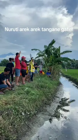 .nyore karo delok arek doroan  #semotzteammojosari #mojokerto #mojosari #fypppppppppppppp #fypシ゚viral 