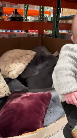 The way she dove in after him has me dying (ig: letthemvent)