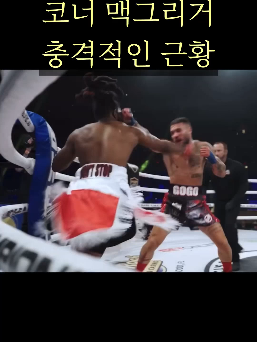 코너 맥그리거 충격적인 근황 ㄷㄷ