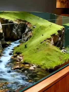 Suối nè#aquarium #thuysinh #bethuysinh #viralvideo #viral 