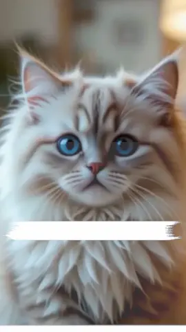 میں دو اک مہینے ہور دیکھنا  گیا ہوں  #saraikisong #funnyvideos #catsoftiktok #foryou #foryoupage #dogsoftiktok #dog #cats #catfunny #funny #punjabi #viral #trend #trending #mujralovers #mujra #funnymoments 