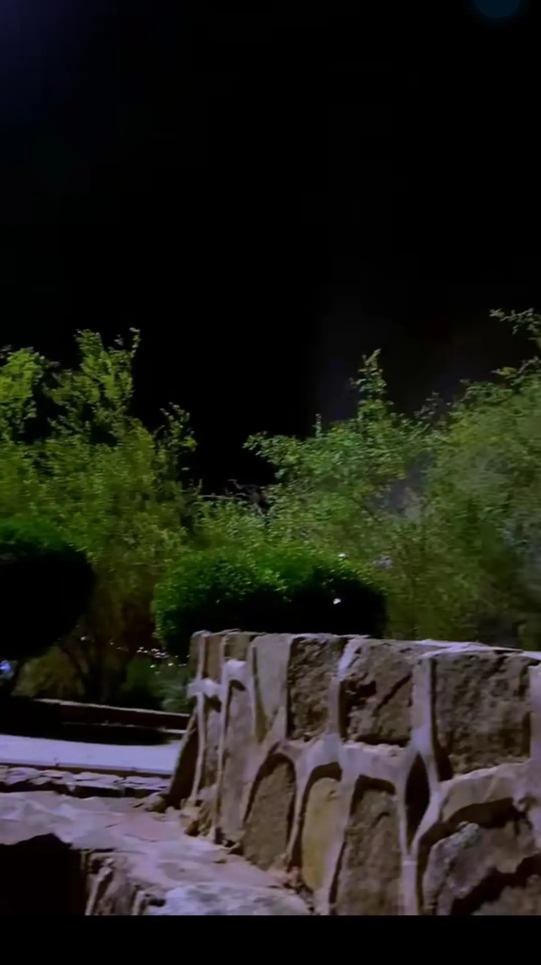 #اكسبلور #المملكة_العربية_السعودية  #هشتاقاتي_الترند_المشهور 