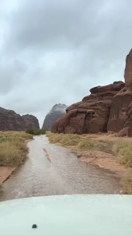 #الشتاء🎻🎼 #الزيته 