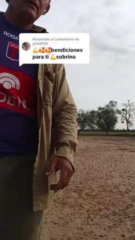 Respuesta a @g744950 