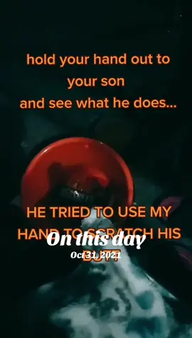 #group7 last Halloween in Florida Oct 2021