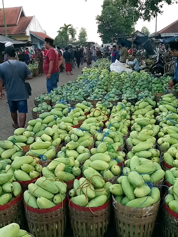 Harga Mangga Sekarang sudah Turun di pasar buah Pasrepan kabupaten Pasuruan Jawa Timur 
