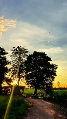 #nhacdanca #nhackhongloi #canhdepmientay #angiang 🥹🥹🥹🥹🥹🥹 