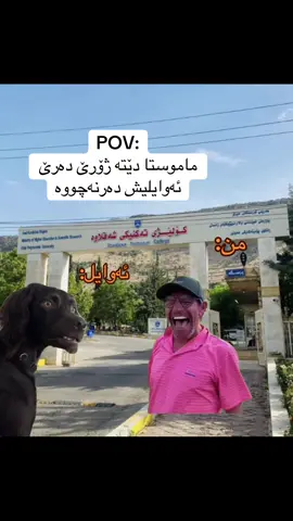 🤣🤣💔#shaqlawa #shaqlawatechnicalcollege #creatorsearchinsight #foryoupagе #foryou 