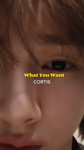 What You Want | CORTIS  #whatyouwant #CORTIS #vietsub #kpopworld #fpy 