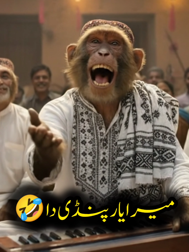 Mera yar pindi da 🤣  #monkeyvideo #foryou #viral #tiktok #bandar 