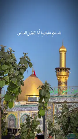 زيارة قمر العشيرة ابا الفضل العباس . السلام عليك يا أبا الفضل العباس ابن امير المؤمنين السلام عَلَيْكَ يَابْنَ سَيِّدِ الْوَصِيِّينَ، الَسَلامُ عَلَيْكَ يَابْنَ أَوَّلِ الْقَوْمِ إِسْلاماً، #كربلاء_المقدسة  #اللهم_صل_على_محمد_وال_محمد  #العتبة_العباسية_المقدسة  #ميرزا🍂 
