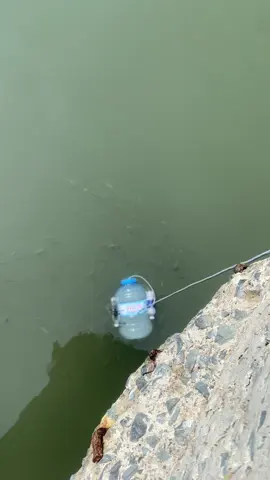 Nướng lên làm chén muối ớt nữa ta nói nhức cái nách😁