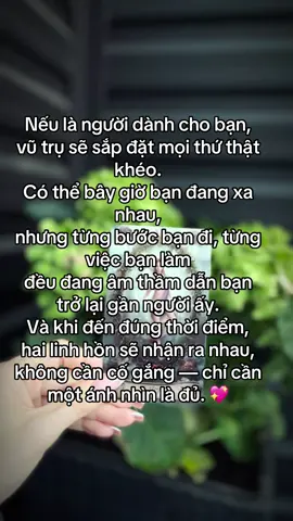 #foxietarot #thongdiepvutru #tinhyeu #hanhphuc #mayman 