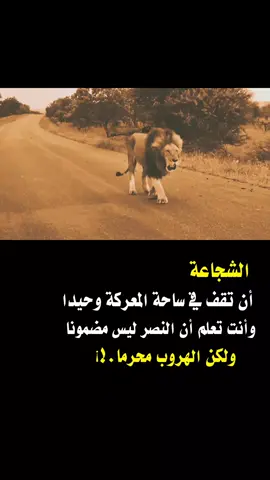 #tiktok #fyp #اكسبلور #عبارات 