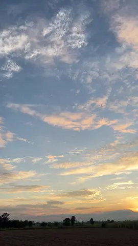 ลมพัดฮักเพ😿#วิวบ้านนอก🍃 #ท้องฟ้ายามเย็นพระอาทิตย์ตก🌄 #อย่าปิดการมองเห็น #ฟีดดดシ 