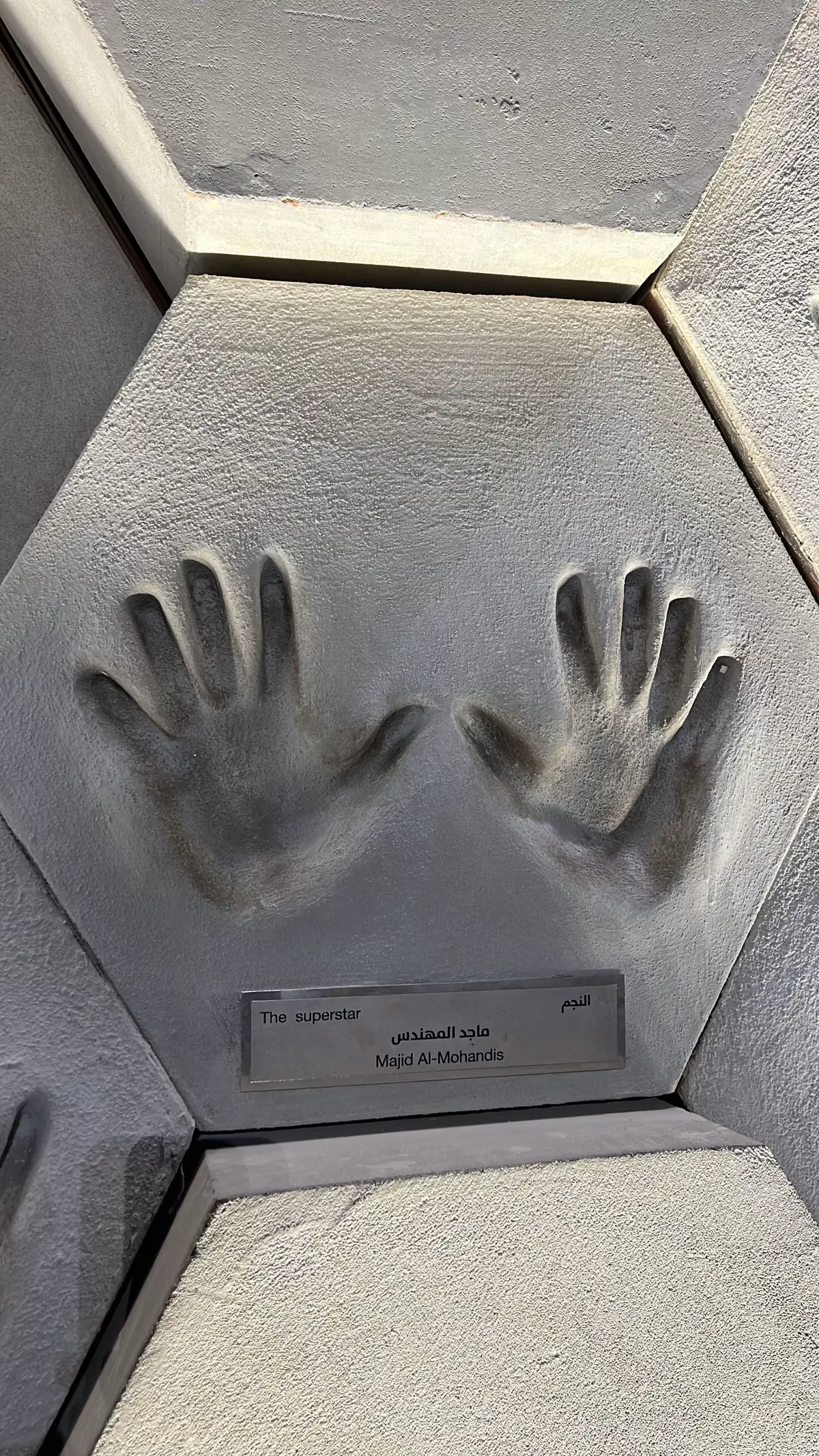 The best 🤍#explorer #majedalmohandis #ماجدالمهندس #foryou #fyppppppppppppppppppppppp @ماجد المهندس 