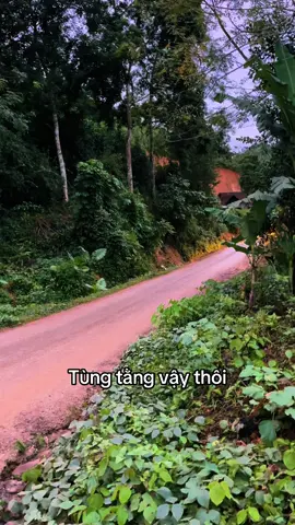 1 năm nay thấy chỉ thay lốp nhớt. Nặng quá gãy nhíp thì thay. Còn lại vẫn cứ bình yên vô sự #faw #xuhuong #fawvietnam #fawtrucks #weichai 