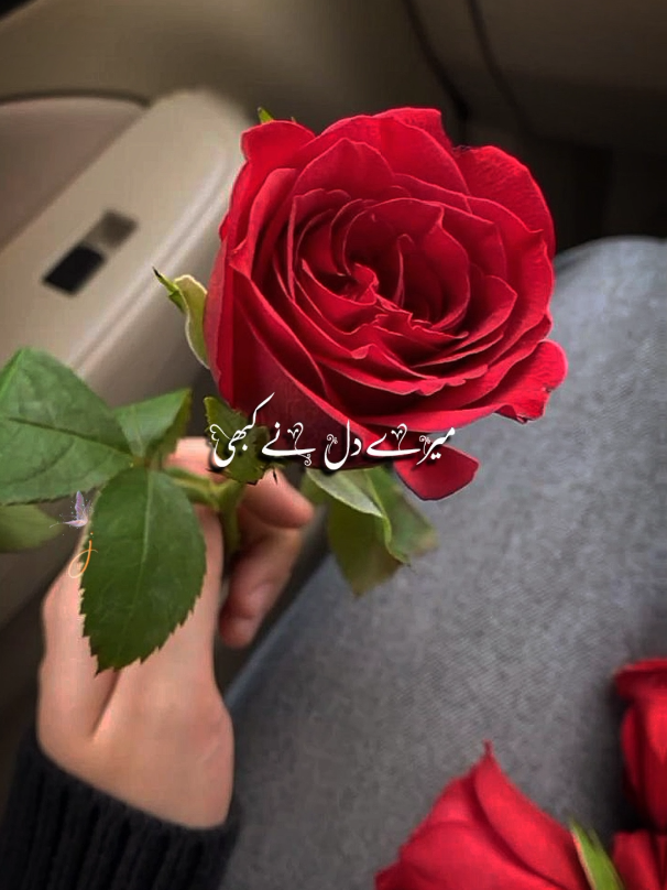 💯#jannat_official01 #foryou 