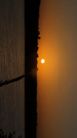 هلابريم الجزيرة #نهر_الفرات #قضاء #الرمانة #الانبار_القائم_حصيبه_الغربيه🇮🇶 #القائم_الحدودالعراقيةالسوريا 