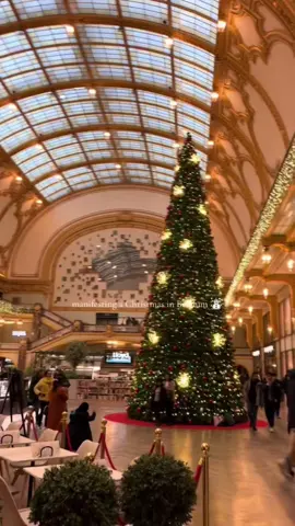 soon it will be Christmas time in Belgium 🥹💖 #belgium #bruxelles #brussels #christmas 