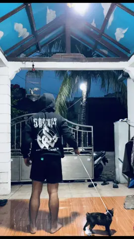 #kucinghusky#4upage #abcd #fyp #masukberanda 