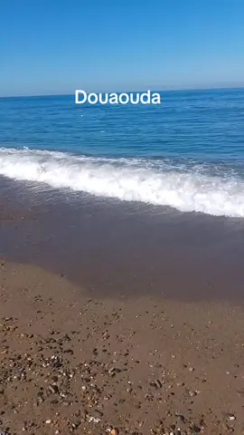 #fyp#foryoupage#exporpage#شعب_الصيني_ماله_حل😂😂 