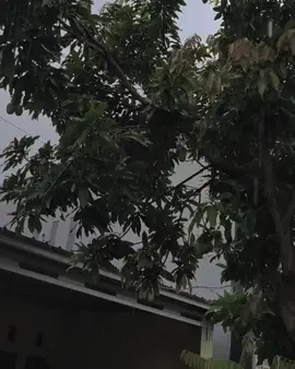 ku pastikan aku sembuh tanpa orang baru @khifnu_nu  #merindumulagi #musikditiktok #risingontiktok 