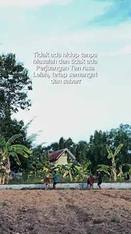 terus semangat my team 🤍#kerapansapimadura #bismillahfypシ #foryoupage #CapCut 