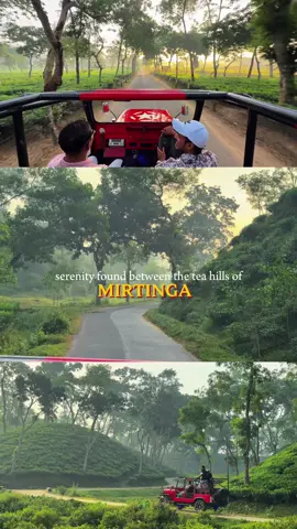 Serenity found between the tea hills of Mirtinga 💚