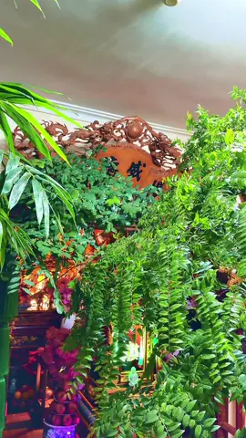 Đủ duyên với phúc Chầu ban  Hợp duyên Chầu độ thở than mấy lời Chầu cho họ Nguyễn đời đời Vinh hoa phúc lộc muôn người hằng mong Hợp duyên Chầu độ cho xong Làm ăn tấn tới phúc mong được tròn Nhất tâm tâm nhất luôn còn Vinh hoa phúc lộc luôn còn trong tâm #hoinhattam #haudongvedeptamlinhvietnam #haudongvietnam #tuphuvanlinh #buocchandaomau 