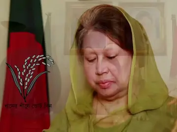 ধানের শীষে ভোট দিন।  #বিএনপি #BNP #ধানেরশীষ