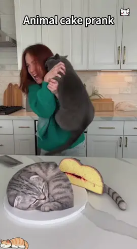 You’re pet’s reaction when you cut the cake #dog #cat #funny #funnyvideos #fyp 