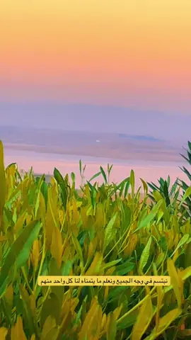 #جزء 137 | نبتسم في وجه الجميع ونعلم ما يتمناه لنا كل واحد منهم #تصويري #بغداد #العراق #الشمال