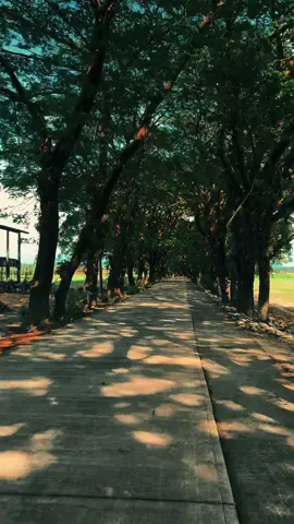 သိတဲ့သူရှိလား😍#foryou #fyp 