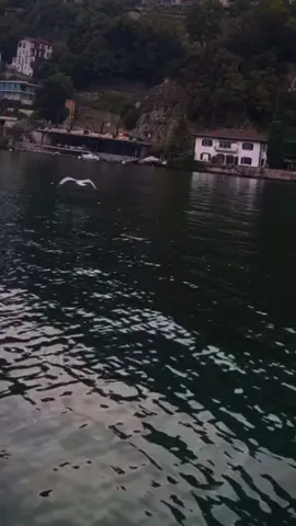 Te menciono hace un momento ÚLTIMA HORA: A partir de hoy, quién está leyendo esto iniciará el camino hacia la estabilidad financiera en noviembre  Atte: el universo. #paratiiiiiiiiiiiiiiiiiiiiiiiiiiiiiii #contenido #tiktokviral #me 