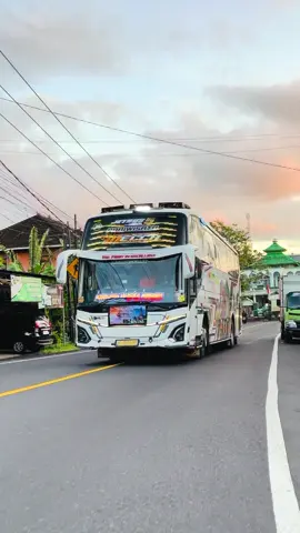 Maumere 💃💃@ONY r @Tonipamungkas  #basuri #mecca #patrick #ngoyodbus #fvpp 