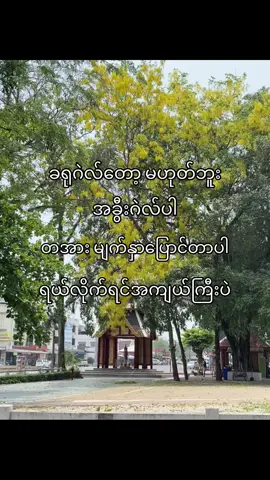 ခရုဂဲလ် မဟုတ်တဲ့ အခွီးဂဲလ်လေးပါရှန်😹#foryou #fyp #foryoupage #tiktok #fypシ 