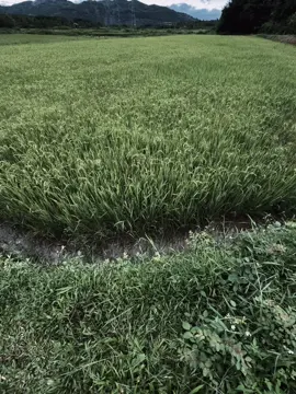 珍惜每一个瞬 间，因为只 需要眨眼 就可以变成回 忆. 