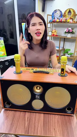 Loa Karaoke Xách Tay EV 2 bass 20, côbg suất 400w #loaxachtay #kimthach 