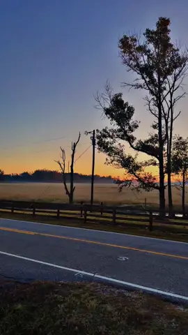 Yall see this #blessing of #nature I see? 😍😍🎄🌲