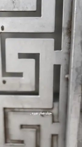 #اكسبلور #fyp #حب #الشعب_الصيني_ماله_حل😂✌️ #موستنج_جي_تي 