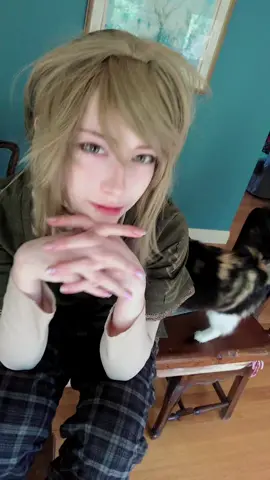 #linkcosplay #zeldacosplay #cosplay #twitchstreamer #fyp 